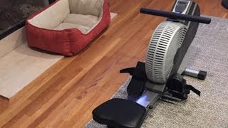 Stamina ATS Air Rower Review [upl. by Haidabej]