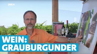 Werner erklärt Wein Grauburgunder [upl. by Einatsed]