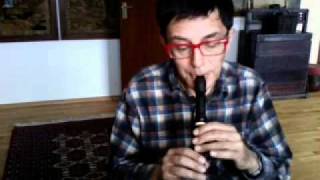 music lesson 5 first steps with a descant recorder [upl. by Nahs]