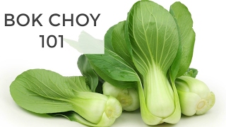 Bok Choy 101  Everything You Need to Know [upl. by Eojyllib124]