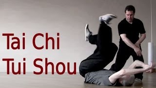 Tai Chi Tui Shou Training 太极推手教学 [upl. by Reyna]