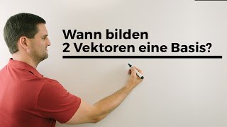 Wann bilden 2 Vektoren eine Basis Mathe by Daniel Jung Erklärvideo [upl. by Lonny]