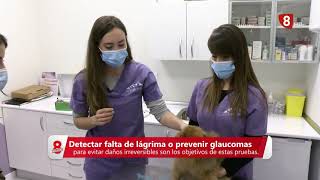 VETERINARIOS URBIÓN OFTALMOLOGÍA 19022021 [upl. by Josepha423]