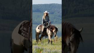 Missing Summer Already On This Pretty Buckskin [upl. by Jennie]