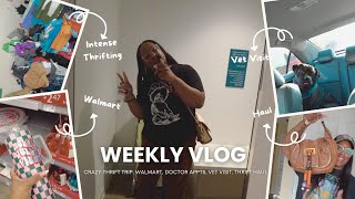 Weekly Vlog  Crazy Thrift Trip Doctor Appts Vet Visit Thrift Haul [upl. by Arimlede]