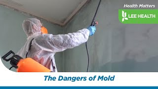 The Dangers of Mold [upl. by Legnaesoj852]