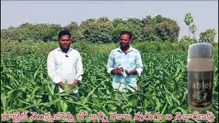 tabletmaize field kattera purugu cantrolharish rythu sevaall crops usesurya agri biotech [upl. by Page]