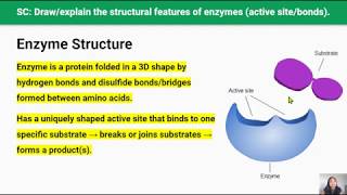 Enzymes Video 4 in 24 Series [upl. by Htennaj]