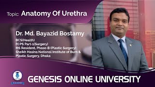 Anatomy Of Urethra  Anatomy  Dr Md Bayazid Bostamy  GENESIS ONLINE UNIVERSITY [upl. by Royall]