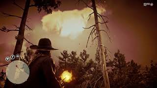 rdr2  Perfect Bat Carcass Location Hunting Requests [upl. by Madson]