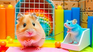 Hamster Escapes from the Largest Water Maze Epic Journey 🐹 Maze for Hamster [upl. by Nivak]