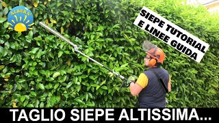 TUTORIAL POTATURA SIEPE altissima quasi 4 metri PROVA PRATICA DI TAGLIO da terra e LINEE GUIDA [upl. by Haroppiz302]