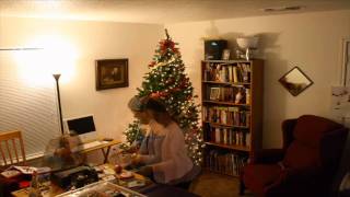 Sheets Family Christmas Tree Time Lapse 2011  Shippensburg PA [upl. by Nitaf]