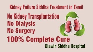 kidney failure treatment in tamil  siddha treatment for kidney failure in tamilnadu [upl. by Nnylharas]