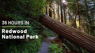 36 Hours in Redwood National Park Exploring the Best Hikes Groves and Trees [upl. by Lisha]