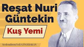 Reşat Nuri Güntekin  Kuş Yemi Sesli Hikaye [upl. by Leynwad490]