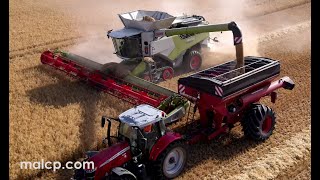 Harvest 2022 Claas Lexion 8900 TT  Convio 1380 Horsch UW 160 chaser bin MF 7719 S DynaVT barley [upl. by Naimaj281]