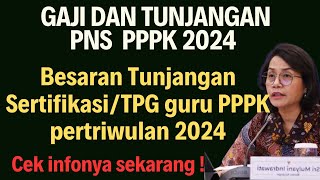 Besaran Tunjangan Profesi Guru ASN PNS dan PPPK 2024  Gaji dan tunjangan PNS dan PPPK [upl. by Otis156]