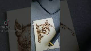 pyrography woodart woodburnerpirografia owl sowa [upl. by Gignac]