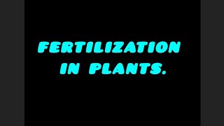 Fertilization in plants yt video biology video viral trending science endosperm zygote [upl. by Oyek856]