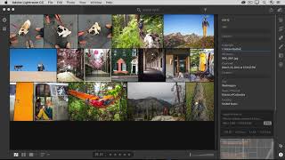 How to view more information about a photo in Lightroom [upl. by Lu]