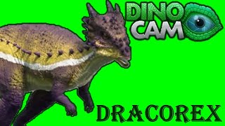 Dino Dan Treks Adventure dracorex green screen Dino Dan Dino cam [upl. by Lednik]