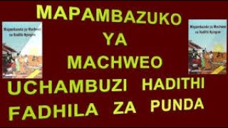 Mapambazuko ya Machweo  Maswali la Dondoo  Insha  Kiswahili KCSE P 3  Revision Kiswahili P 3 [upl. by Robbie552]