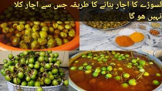 Lasooray ka Achar by Maina Cooking studio Gunda PickleLasode ka Achar [upl. by Ahseryt]