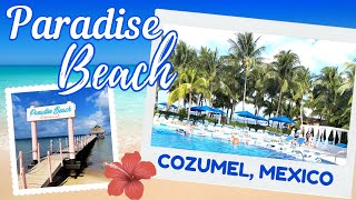 Paradise Beach Cozumel Mexico  AllInclusive Package  Disney Dream Cruise Day 4 [upl. by Nyraf]