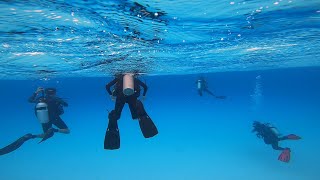 Shore Diving with Friends in Bonaire including The Salt Pier [upl. by Lohner618]