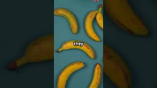 Banana Bonanza 1000 Types of Fun facts humanteeth funny ocean motivation teeth [upl. by Stockmon]