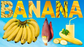 Banana  Amazing Journey of Banana From Tree to Table  Yummy Culinary Uses of Banana and Plantain [upl. by Siusan]