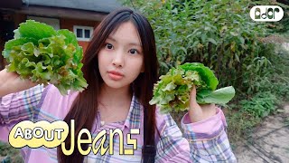 About Jeans 오늘을 기록혠 2 ⊹ 시골에 간 혠스터의 오늘  HYEIN vlog [upl. by Eilrahs]