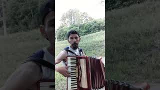 Santa Catarina  Irmãos Serranos  José Santtos do Accordion🎹🇧🇷✌🏼 [upl. by Akirrehs686]