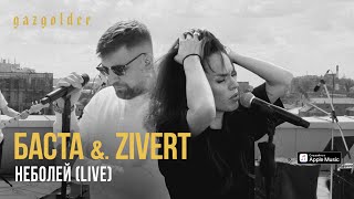 Баста amp Zivert  неболей LIVE [upl. by Akineg]