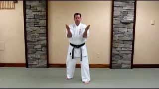 Uechi Ryu Sanchin Kata  Basic Study Guide [upl. by Ennis1]