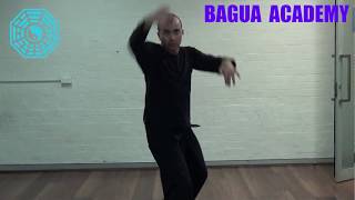 Bagua Throws amp Applications  Sean Kavanagh [upl. by Anatol704]