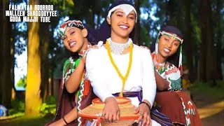 Falmataa Roorroo  Walleen Shaggooyyee Lyrics Oromo Music 2023 [upl. by Beckett]