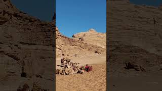 Exploring Magnificent Wadi Rum Desert in Jordan  Sole Dream Retreat jordan wadirum retreat [upl. by Giule756]