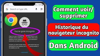 Comment voirsupprimer lhistorique de navigation incognito 100  de fonctionnement [upl. by Egin726]