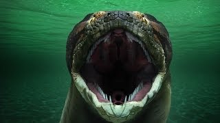 Titanoboa Monster Snake Full Episode [upl. by Marjory]