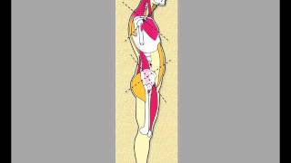 Correct Lordosis Part 13 [upl. by Bannasch]