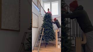 Set up our 12 foot tall Christmas tree with us 🎄 christmas holidays christmastree [upl. by Castor922]