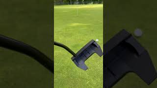 Test putter Argolf Perceval vs TaylorMade Spider SR [upl. by Noremmac608]