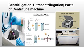 Centrifugation Ultracentrifugation Cell Fractionation [upl. by Thibaud620]