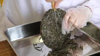 プーアル茶のほぐしかた  How to dismantle puerh tea cake [upl. by Yssac]