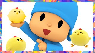 🐣 Little Hatching Chicks  Pocoyo in English  Official Channel  Cartoons for Kids [upl. by Wendelin]