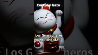 Compay gato  Los Guaracheros de oriente [upl. by Polito]