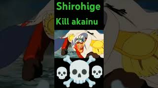 Shirohige kill akainu big one [upl. by Ahsienod]