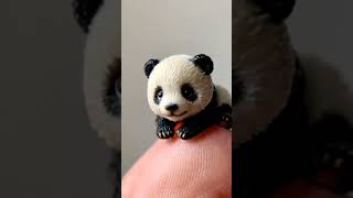 Baby panda on handpanda adorablepanda babyanimal cute babypandaworld shortvideo shorts short [upl. by Cheria]